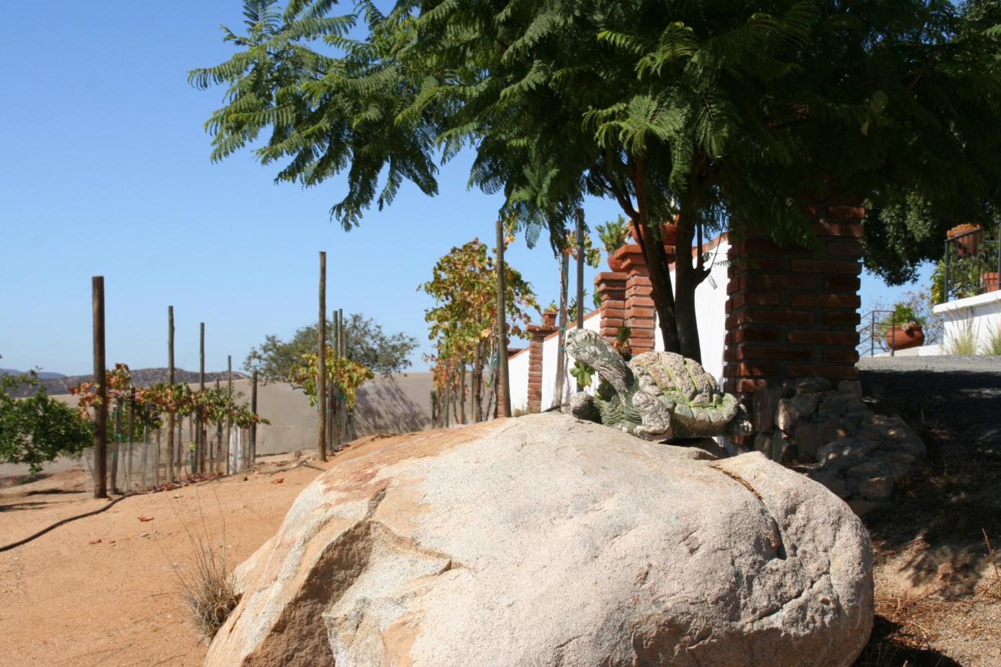 Quinta Sofia Valle De Guadalupe - Solo Adultos 외부 사진